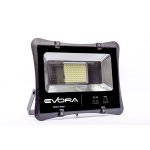 Flood Light  50 w