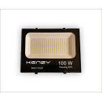 Flood Light 100 w
