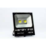 Flood Light 100 w