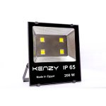 Flood Light  200 w